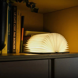 Book Lamp, Folding Wooden Book Light, Rechargeable LED, Walnut or Maple