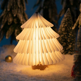 Book Lamp, Folding Wooden Book Light, Rechargeable LED, Walnut or Maple