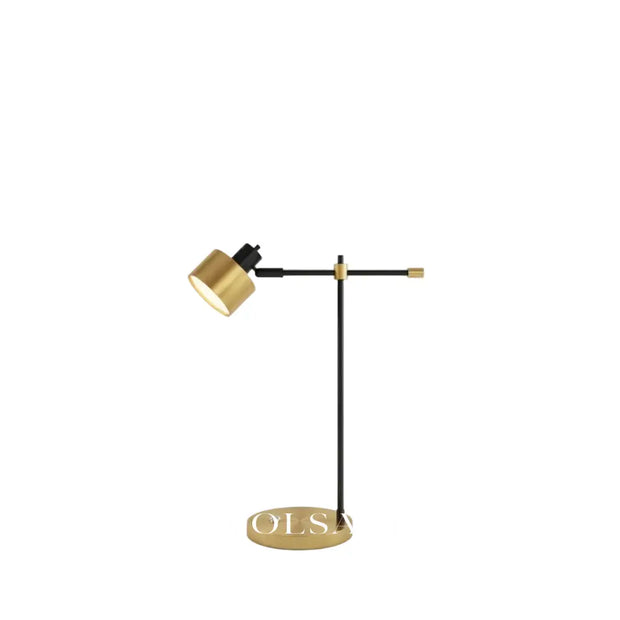 Adjustable iron table lamp with rotating head on a white background