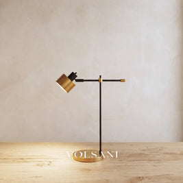 Close-up of the adjustable iron lamp with rotating head on raw oak against a plaster wall