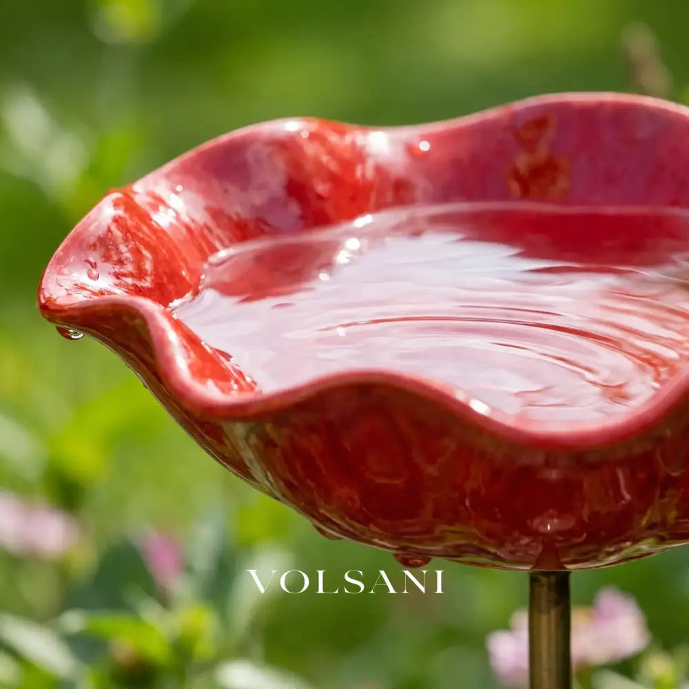 FLORA: Bloemvormig Vogelbad & Drinkstation - Volsani