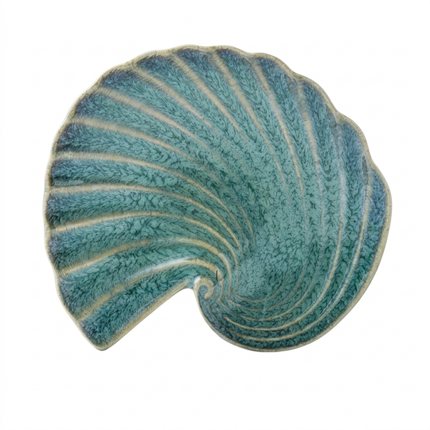 Porcelain Shell Plate on a white background