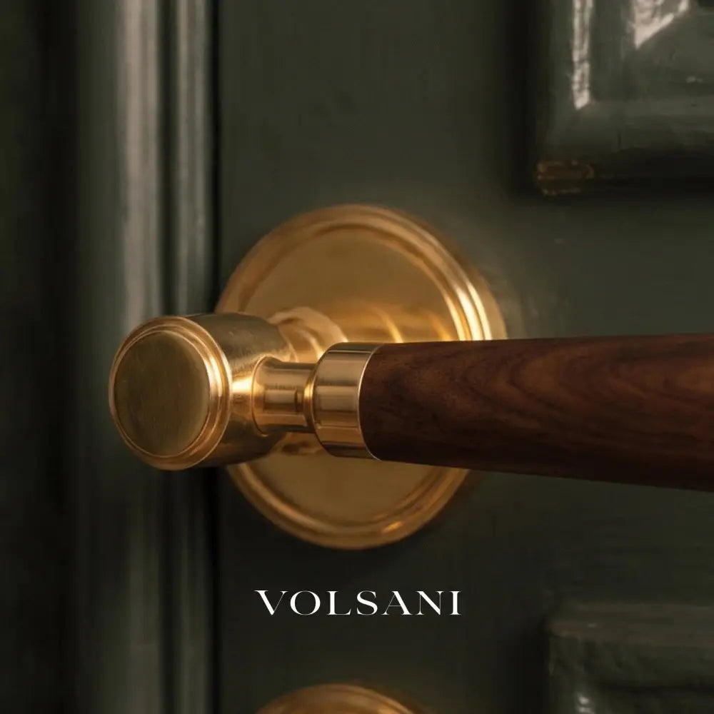 Manus Handle and Lock