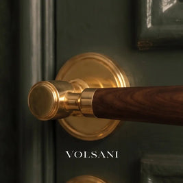 Manus Handle and Lock