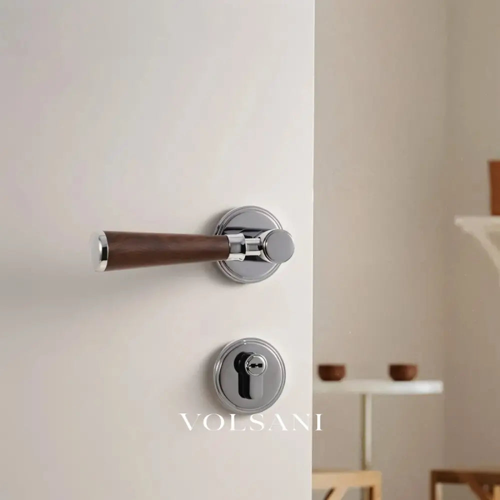 Manus Handle and Lock