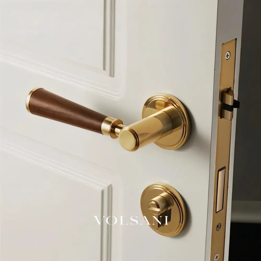 Manus Handle and Lock