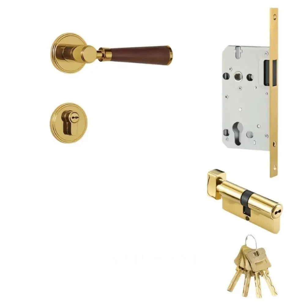 Manus Handle and Lock - L6’’(15.6cm) x H1’’(2.7cm) / Magnetic - With Mortice Lock & Keys / Gold