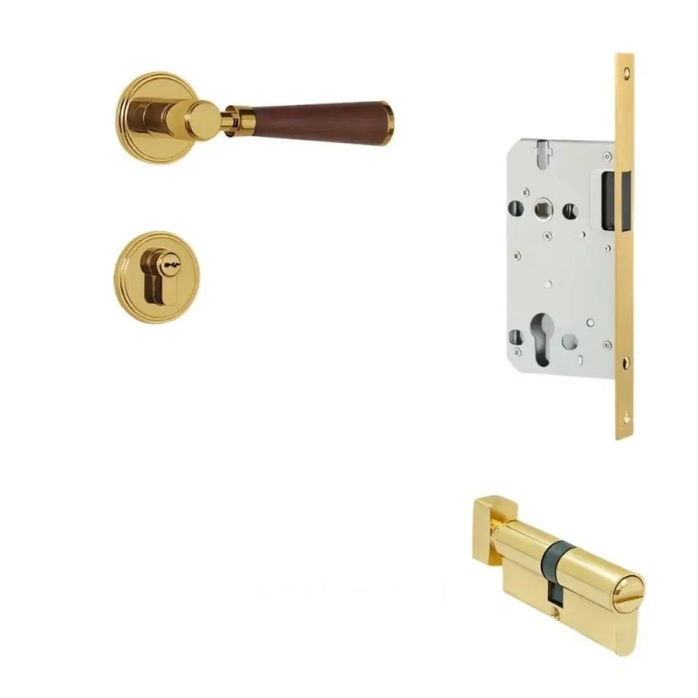 Manus Handle and Lock - L6’’(15.6cm) x H1’’(2.7cm) / Magnetic - With Thumb Lock / Gold