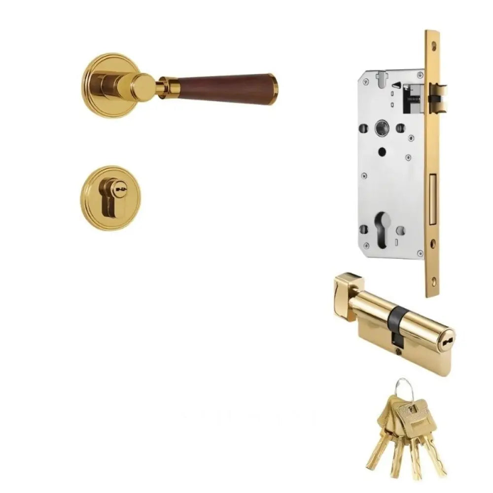 Manus Handle and Lock - L6’’(15.6cm) x H1’’(2.7cm) / Non Magnetic - With Mortice Lock & Keys / Gold