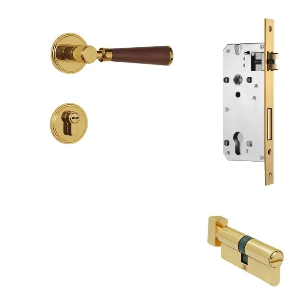 Manus Handle and Lock - L6’’(15.6cm) x H1’’(2.7cm) / Non Magnetic - With Thumb Lock / Gold