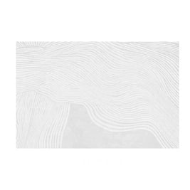 Plush Area Rug with Deep Pile Soft Living Room & Bedroom Rug Non Slip Backing 11 Patterns 31-118in - H / 80x120cm