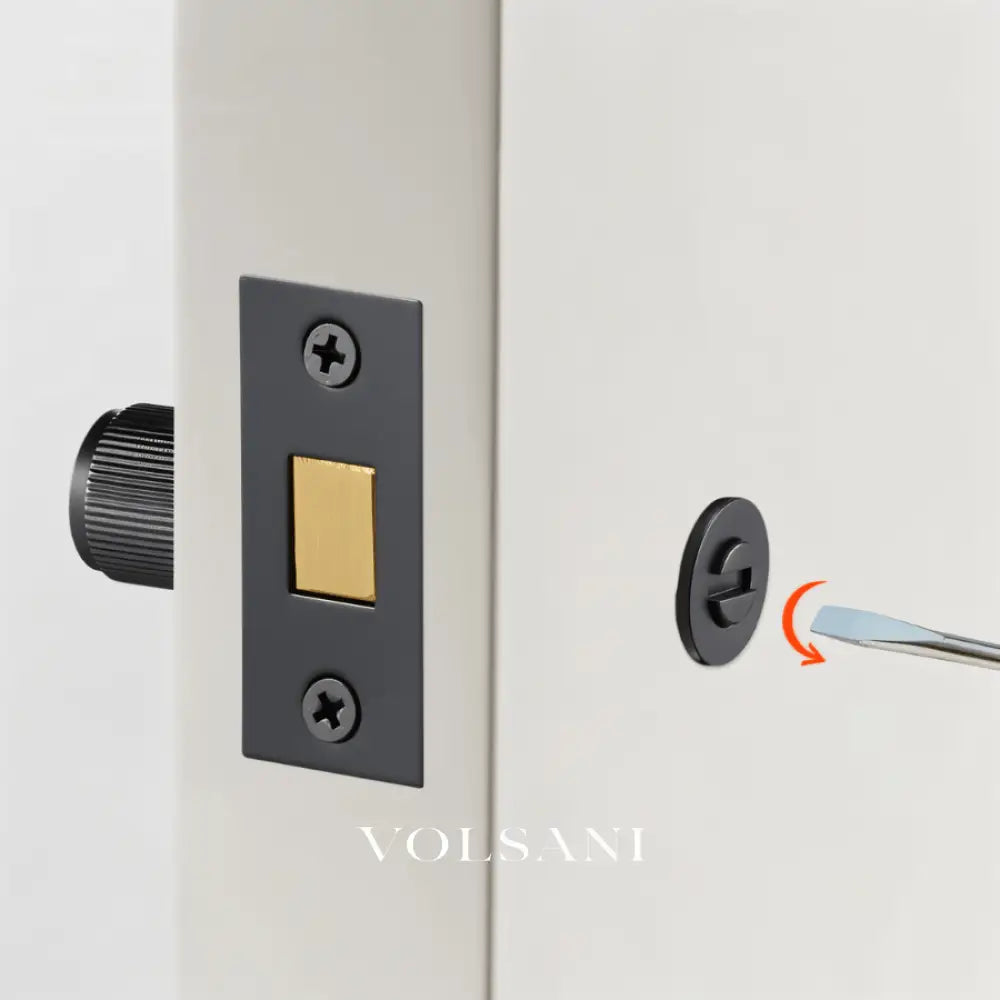 Stron Handle and Lock