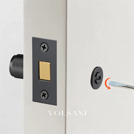 Stron Handle and Lock