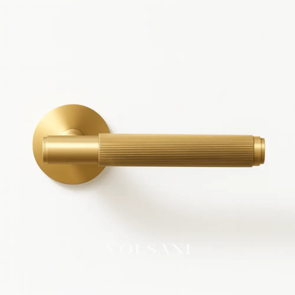 Stron Handle and Lock