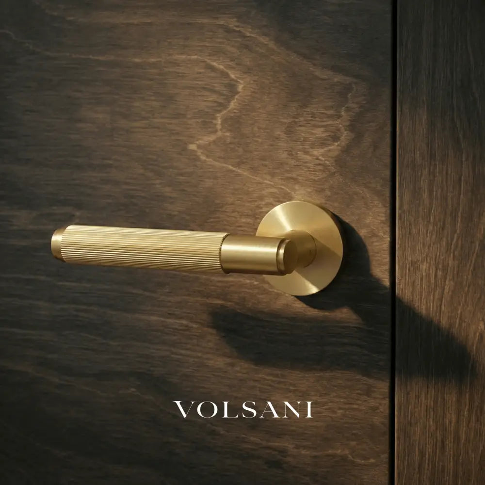 Stron Handle and Lock