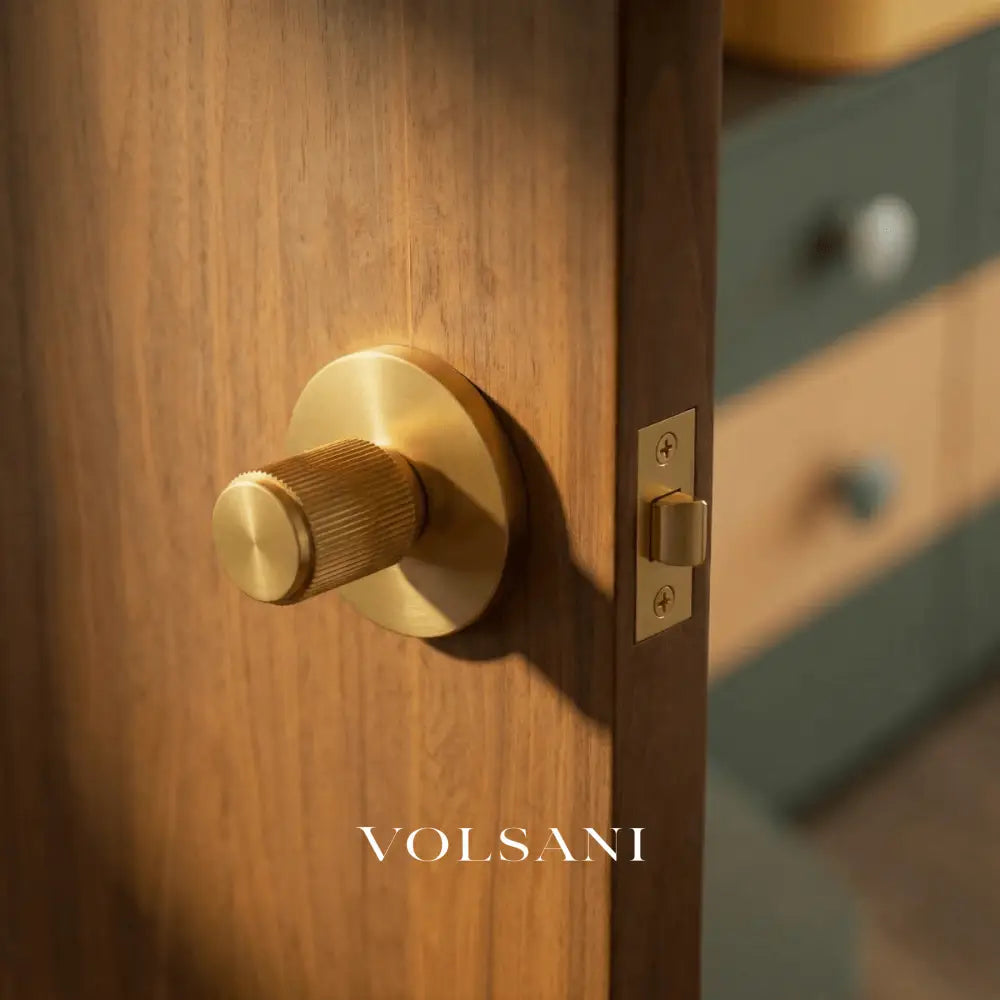 Stron Handle and Lock