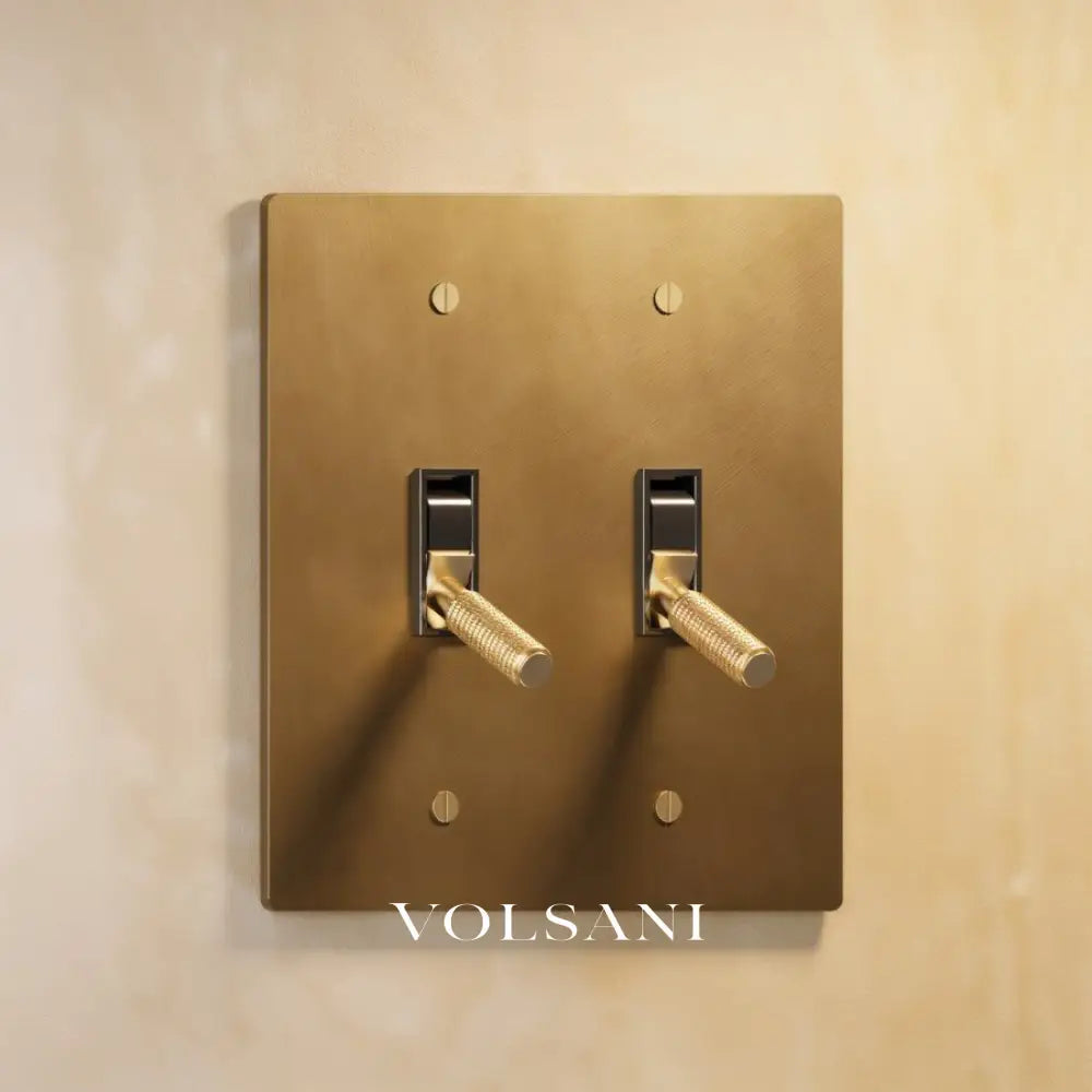 The Architectural Brass Toggle Switch (1 to 5 Gang) - Open Box - Vintage Brass with Patina / 2 Gang