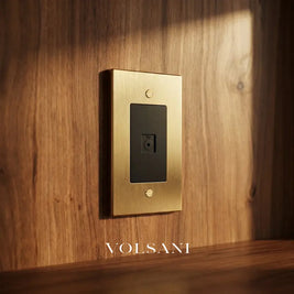 The Brass TV Socket (1-Gang)