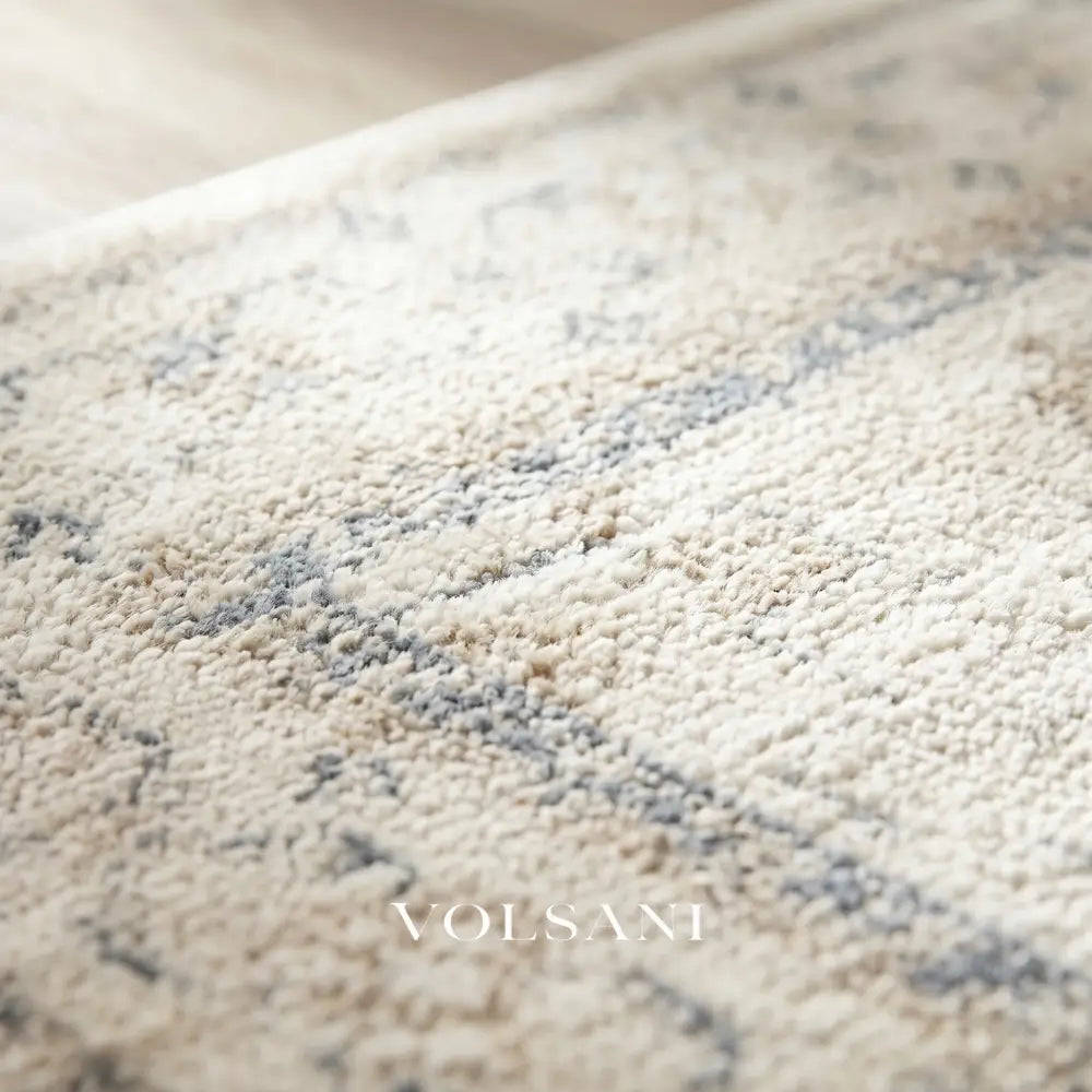 Vintage Pattern Area Rug with High Pile Soft Living Room & Bedroom Rug Faded Traditional Print 8 Sizes 2x3 to 9x12ft