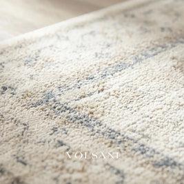 Vintage Pattern Area Rug with High Pile Soft Living Room & Bedroom Rug Faded Traditional Print 8 Sizes 2x3 to 9x12ft