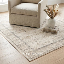 Vintage Pattern Area Rug with High Pile Soft Living Room & Bedroom Rug Faded Traditional Print 8 Sizes 2x3 to 9x12ft