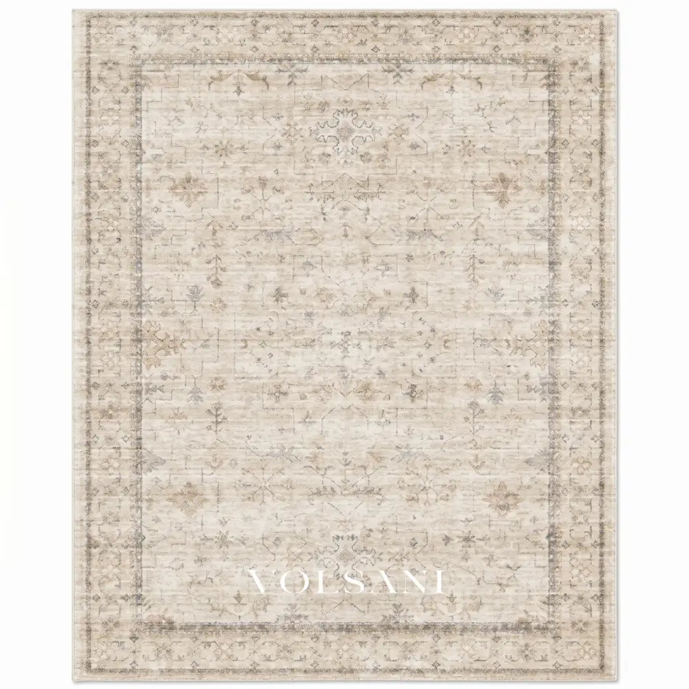 Vintage Pattern Area Rug with High Pile Soft Living Room & Bedroom Rug Faded Traditional Print 8 Sizes 2x3 to 9x12ft