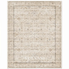 Vintage Pattern Area Rug with High Pile Soft Living Room & Bedroom Rug Faded Traditional Print 8 Sizes 2x3 to 9x12ft