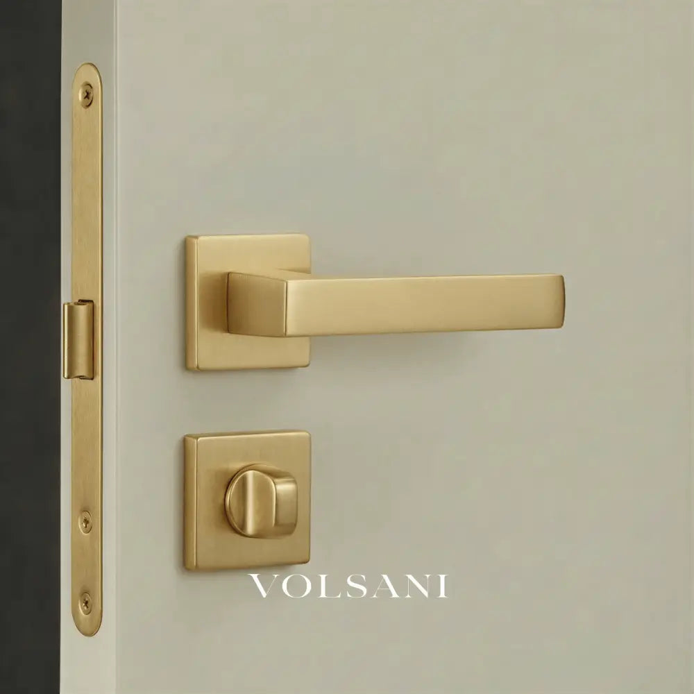 Vorel Handle and Lock