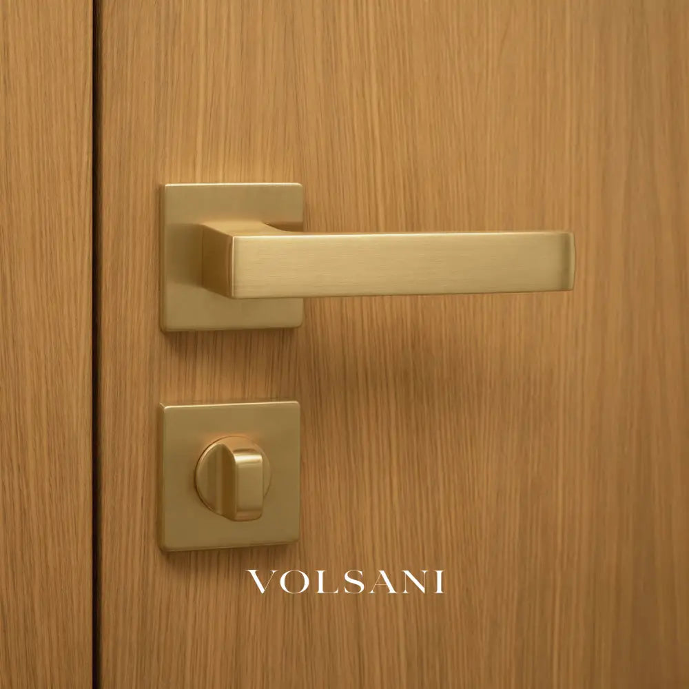 Vorel Handle and Lock
