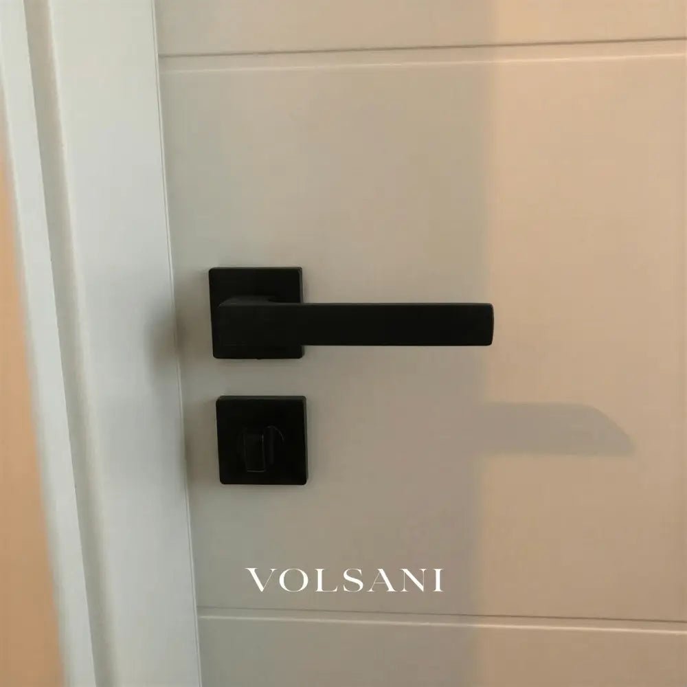 Vorel Handle and Lock