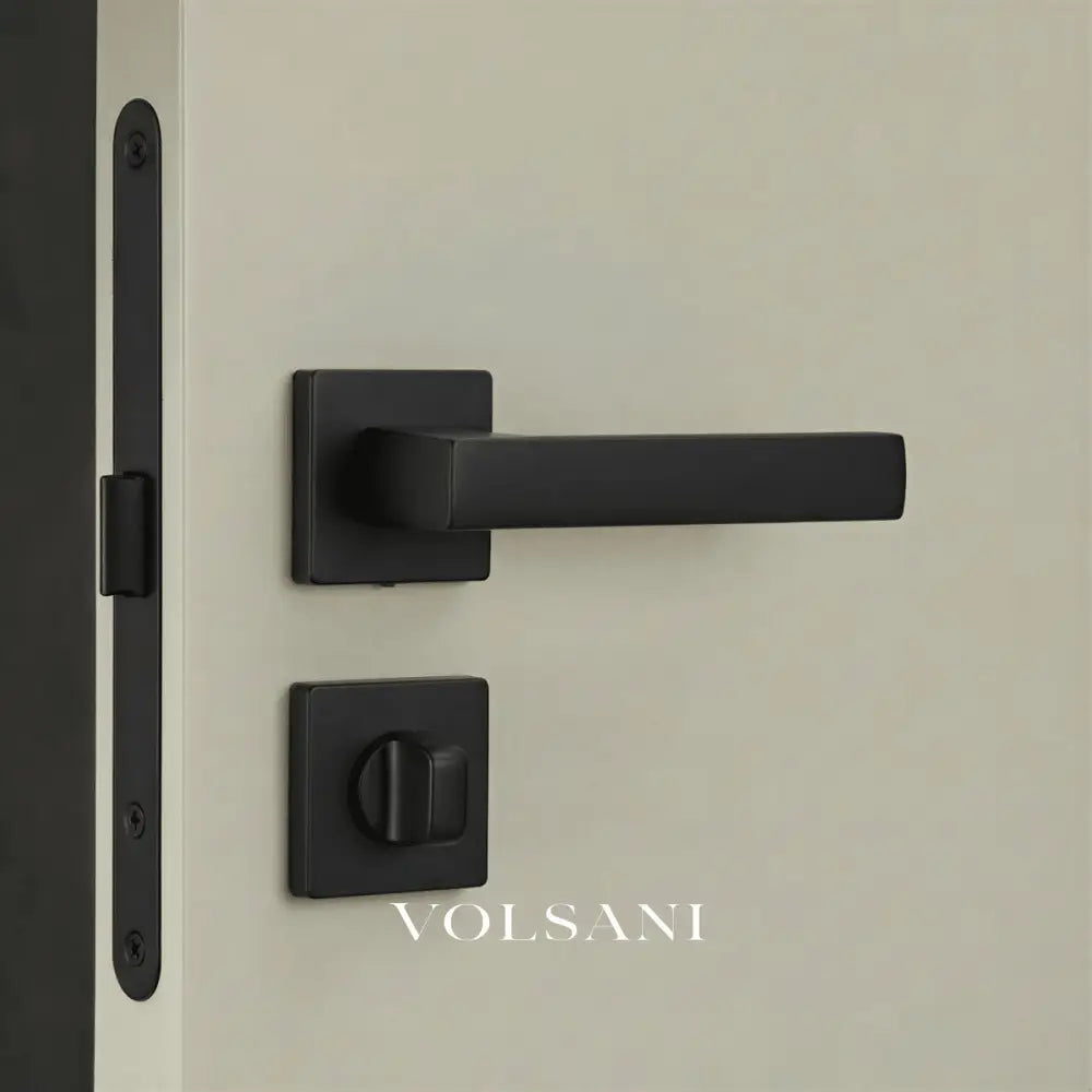 Vorel Handle and Lock