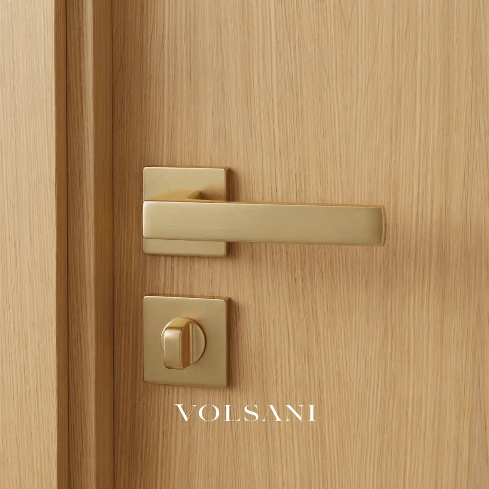 Vorel Handle and Lock