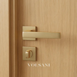 Vorel Handle and Lock