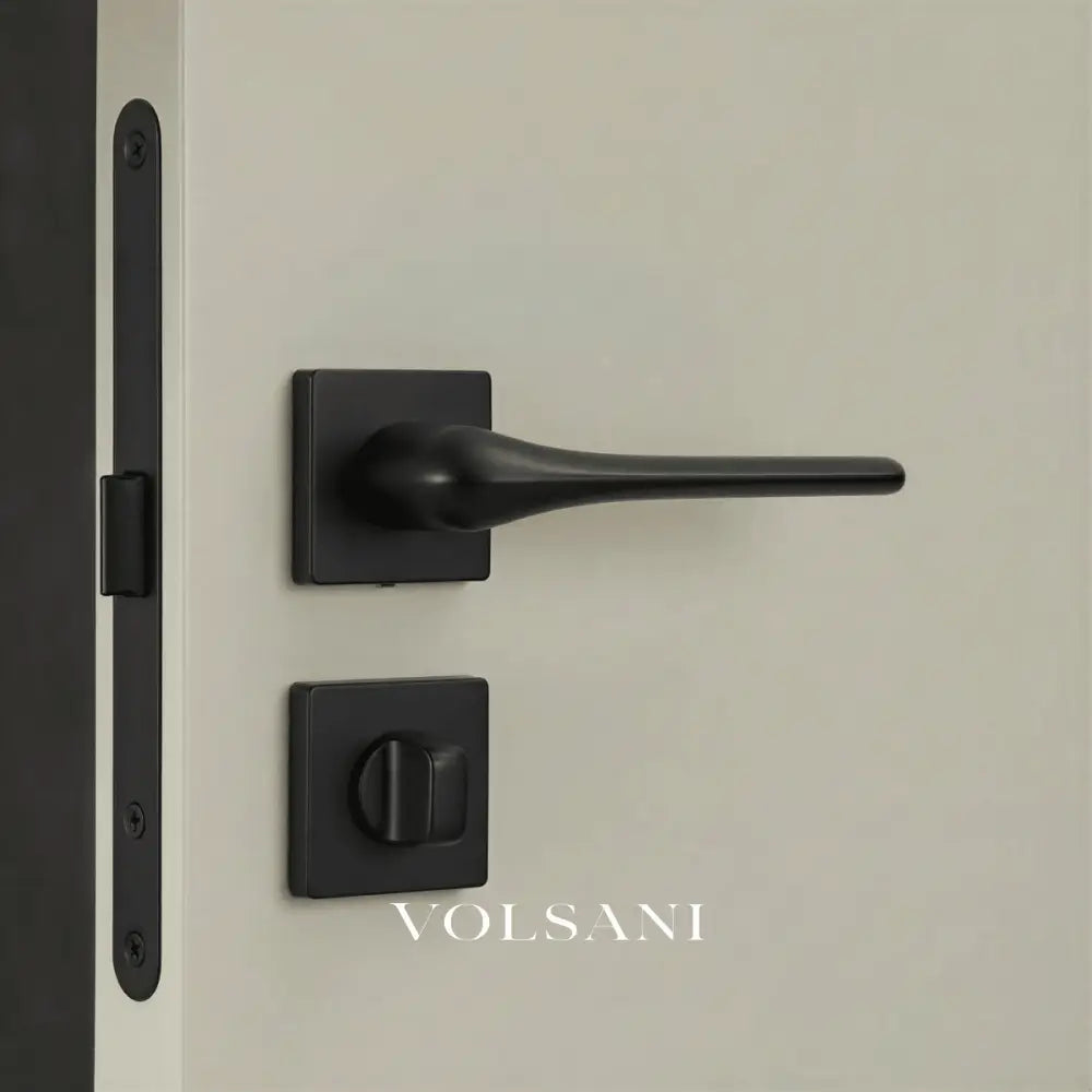 Zevor Handle and Lock
