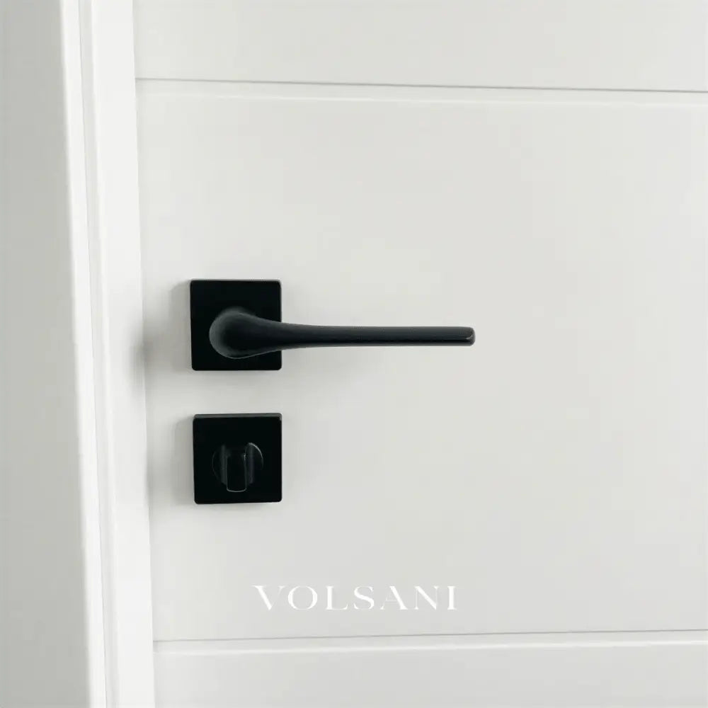Zevor Handle and Lock