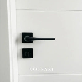 Zevor Handle and Lock